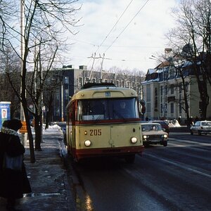 Tallinna Trammi- ja Trollibussikoondis 205