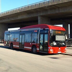 20160327-003225-faf12f1e.jpg