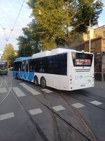20250909_190213(0).jpg