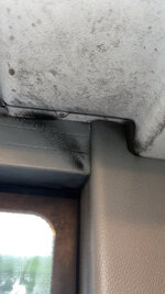 IMG_0810.jpeg