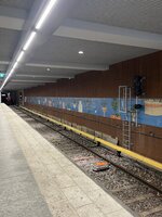 IMG_3200.jpeg
