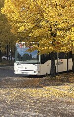 IMG_4394.jpeg