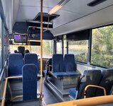 IMG_4397.jpeg
