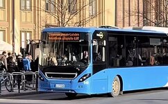 IMG_5323.jpeg