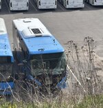IMG_5337.jpeg