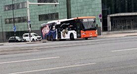 IMG_5385.jpeg