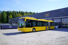 NF245_02.jpg