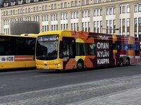 IMG_6856.jpeg