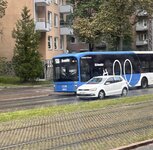 IMG_5425.jpeg