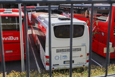 IMG_953345.jpg