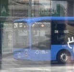 IMG_5455.jpeg