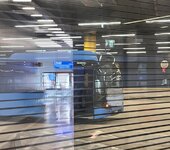 IMG_5526.jpeg