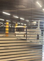 IMG_5529.jpeg