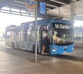 IMG_5530.jpeg