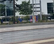 IMG_5532.jpeg