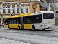 7466.jpg