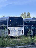 IMG_5551.jpeg