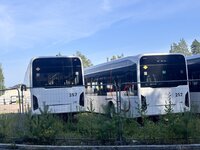 IMG_5550.jpeg