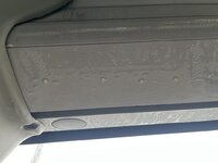 IMG_5827.jpeg