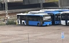 IMG_5572.jpeg