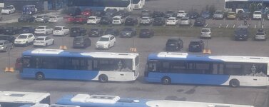 IMG_5578.jpeg