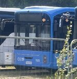 IMG_5608.jpeg