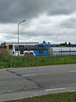 IMG_20260725_130353.jpg