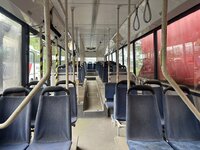 IMG_4370.jpeg
