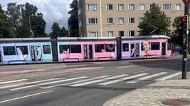 IMG_5677.jpeg