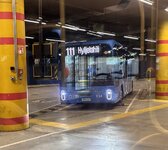 IMG_5697.jpeg