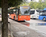 IMG_5699.jpeg