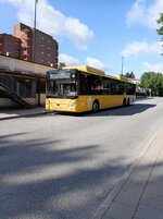 6965.jpg