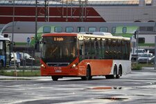 IMG_2457.jpeg