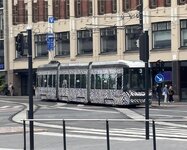 IMG_5772.jpeg