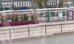 IMG_5771.jpeg