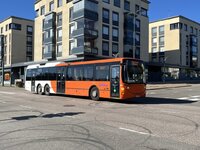 IMG_8908.jpeg