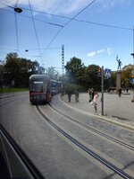 IMG_20260921_173529390.jpg