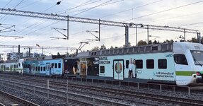 IMG_5898.jpeg