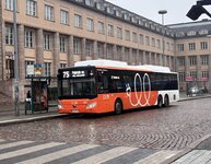 IMG_5951.jpeg