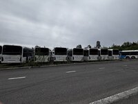 IMG_4061.jpeg