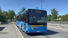 IMG_6499.jpeg