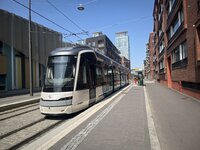 IMG_6750.jpeg
