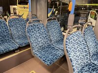 IMG_6310.jpeg