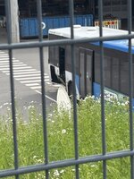 IMG_4134.jpeg