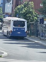 IMG_7142.jpeg