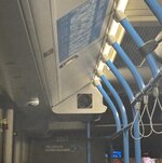 IMG_3602.jpeg