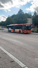 IMG_8033.jpeg