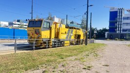 IMG_5819.jpeg
