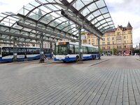 IMG_20250805_114852.jpg