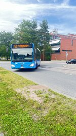 IMG_5946.jpeg